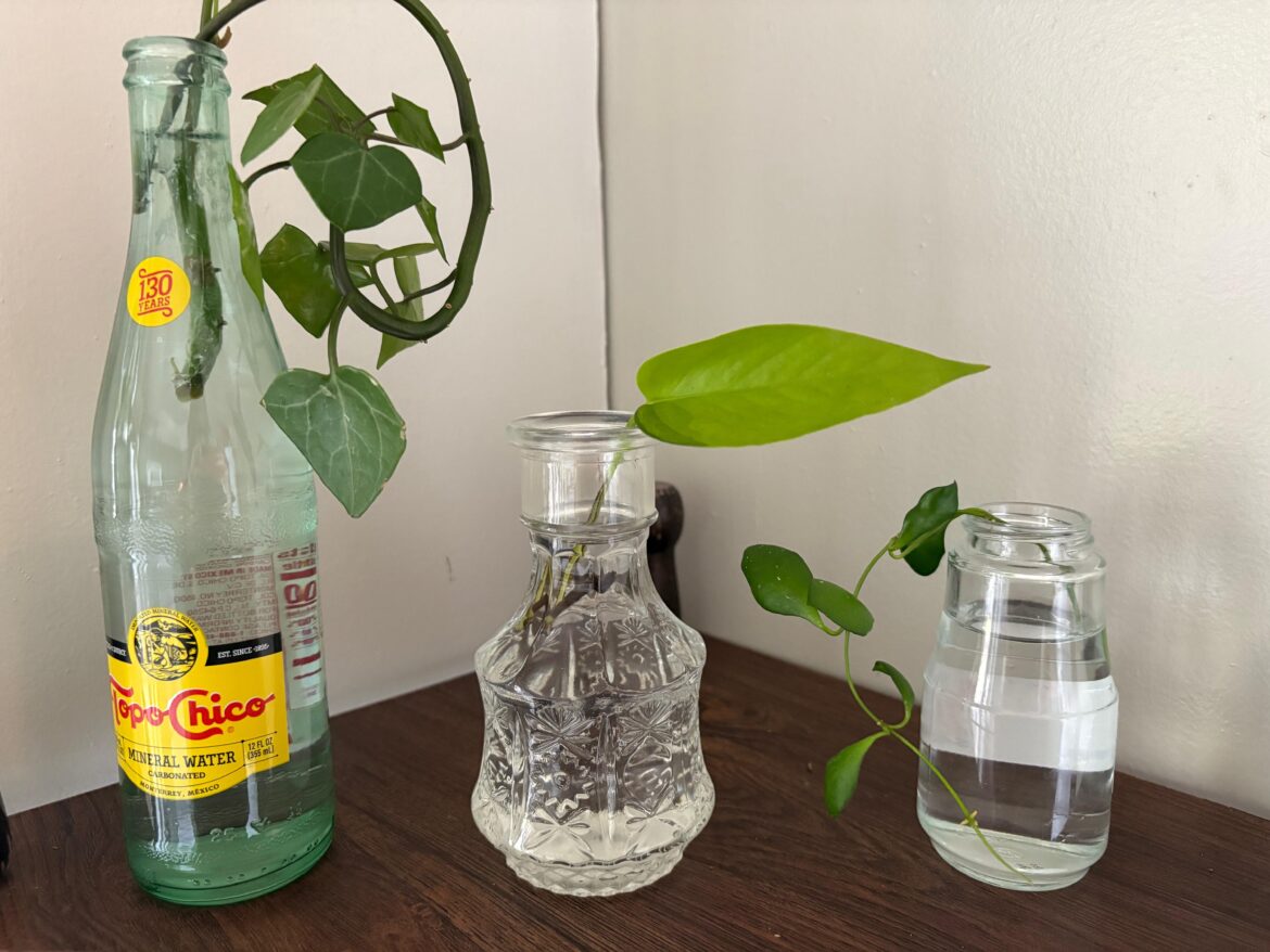 Propagation Question Propagation Question