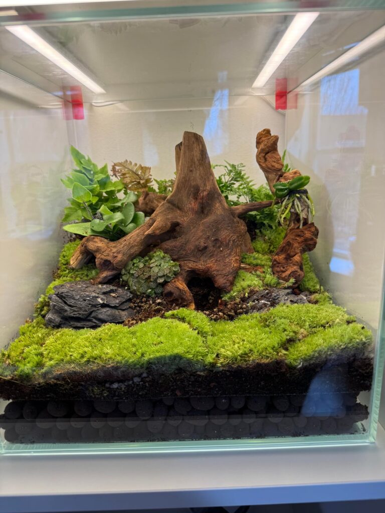 Questions about fogging glass