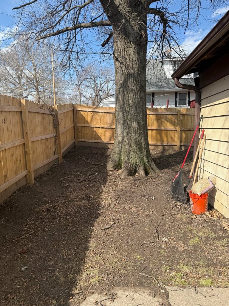 Dogs have turned the yard into a dirt pile