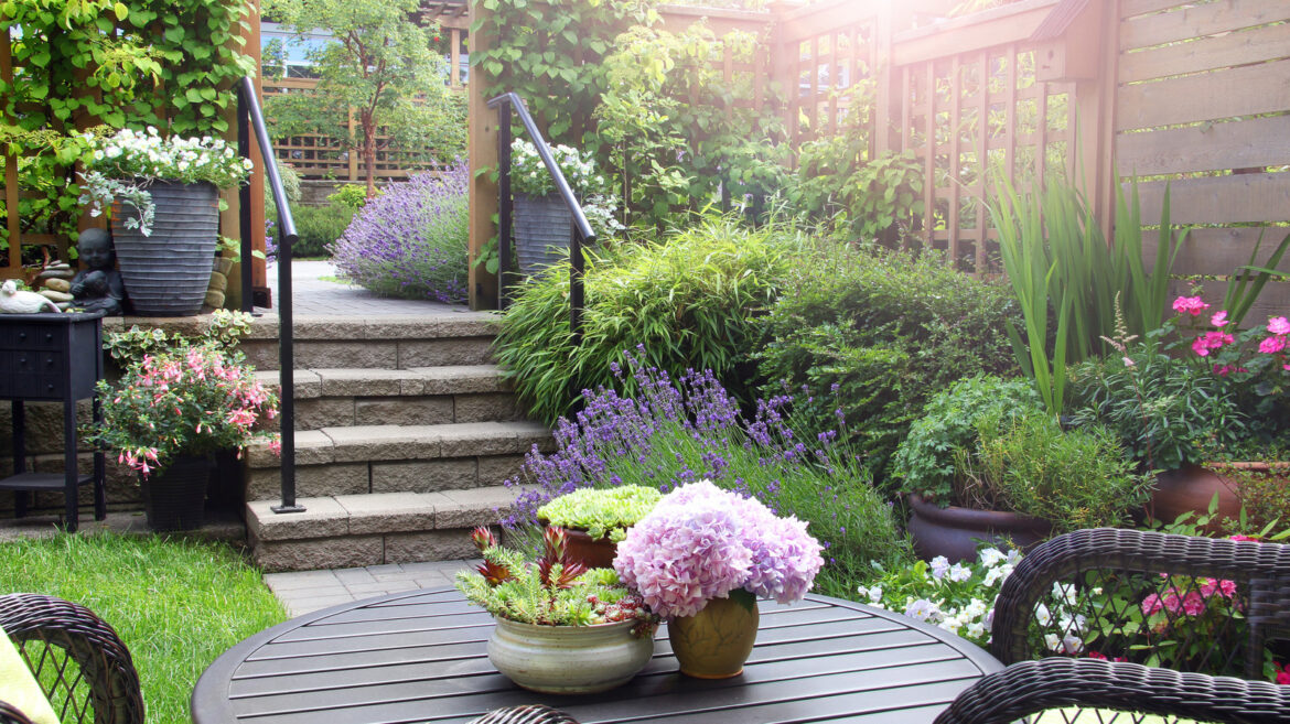 The Vining Purple Plant Pollinators Love That's Perfect For A Small Garden