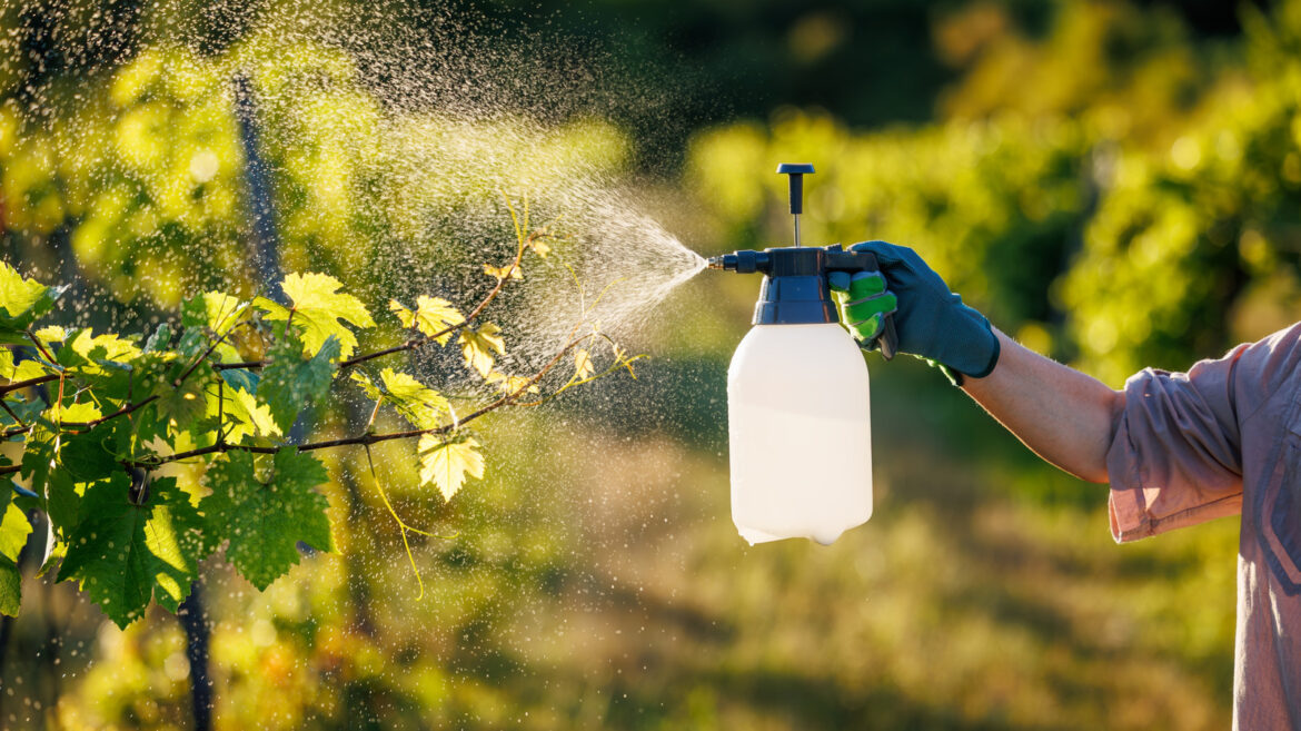 How Using Pesticides In Your Garden Can Damage The Health Of Your Soil How Using Pesticides In Your Garden Can Damage The Health Of Your Soil