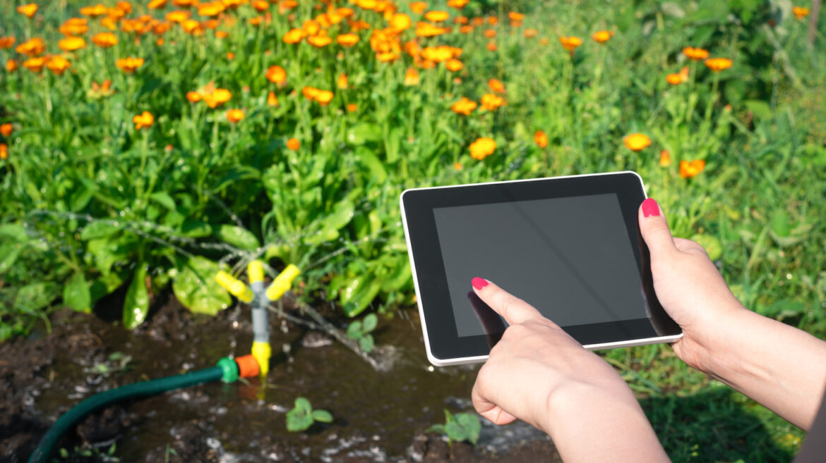 4 Costco Finds That Can Help You Build Your Own Smart Garden