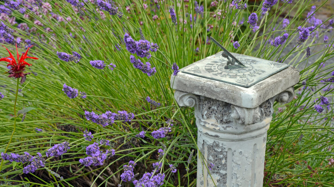 The Outdoor Friendly Antique You Shouldn't Overlook For Your Garden