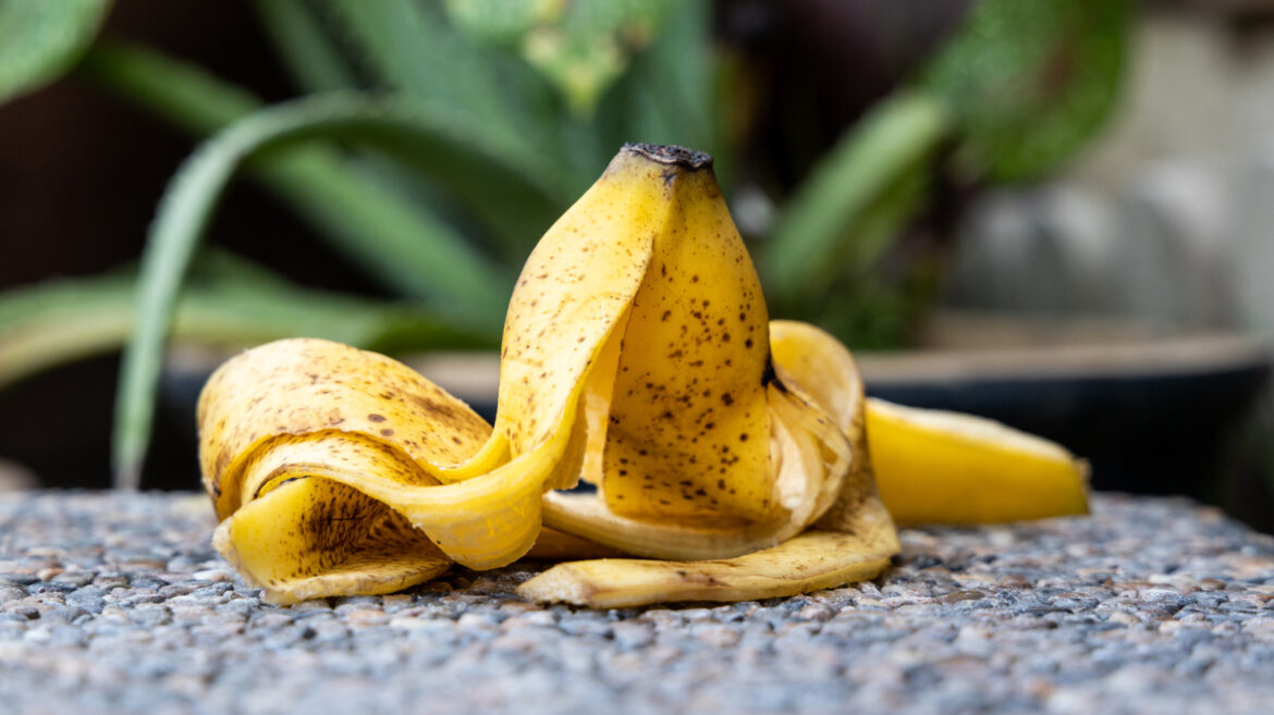 The Banana Peel Gardening Hack People Need To Stop Believing