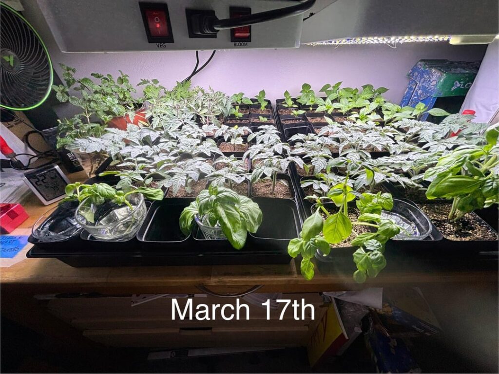 Going well so far!
