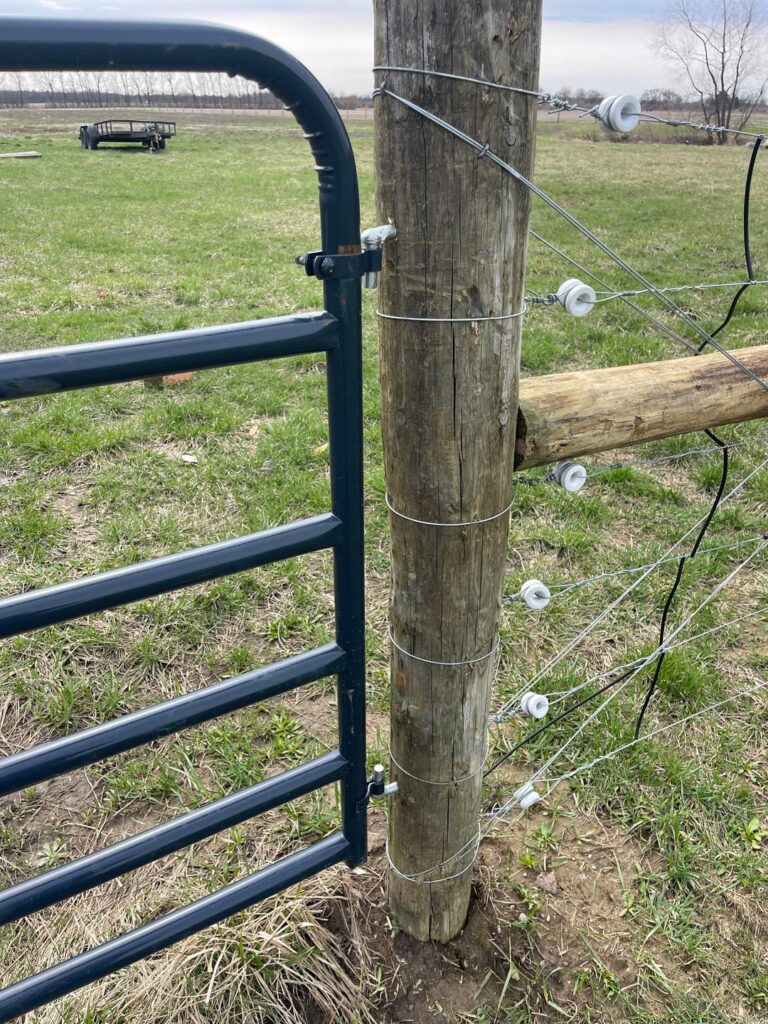 Gate is shocking me when I grab it! Gate is shocking me when I grab it!