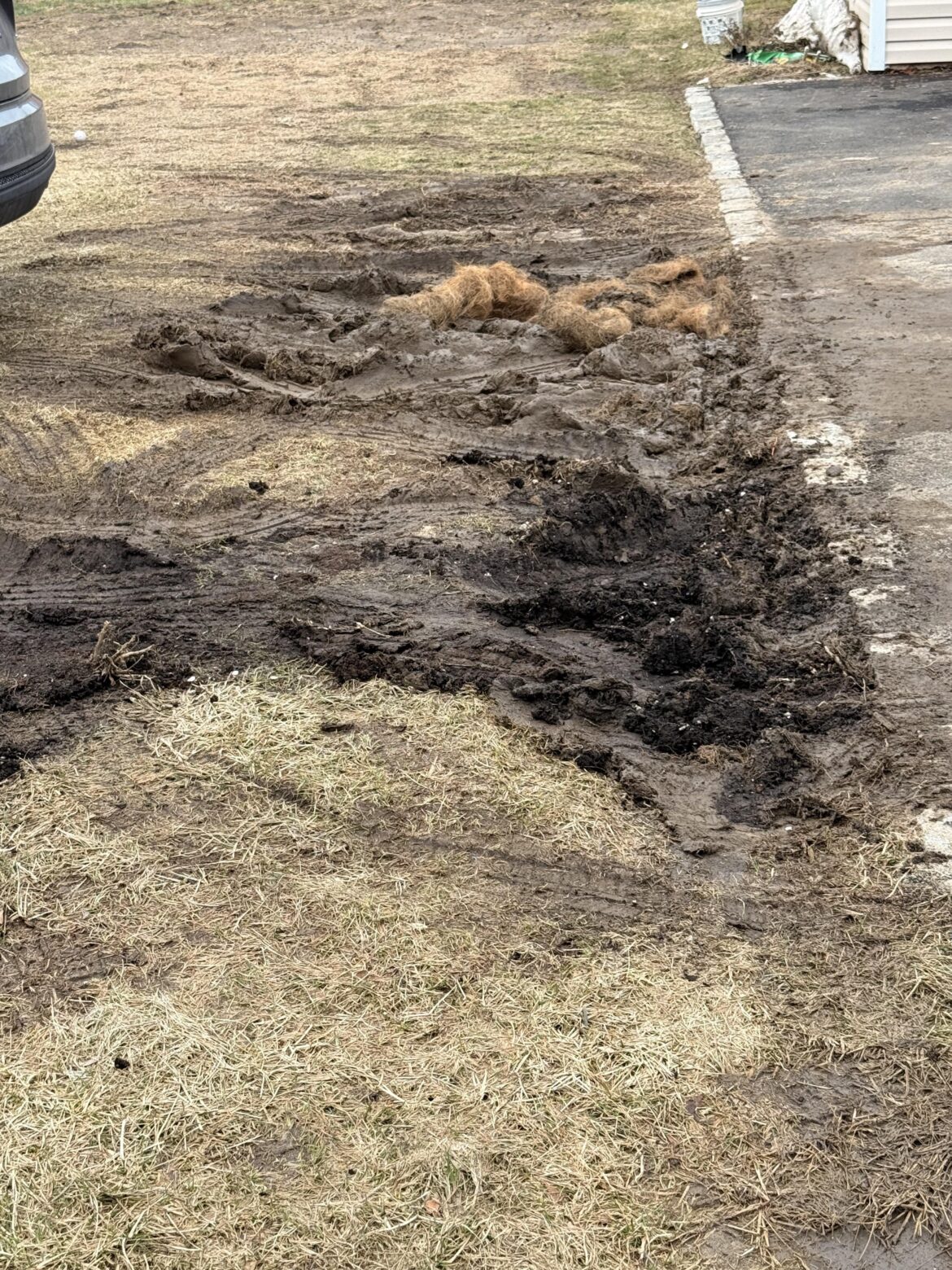 How do I fix this muddy area in my lawn?