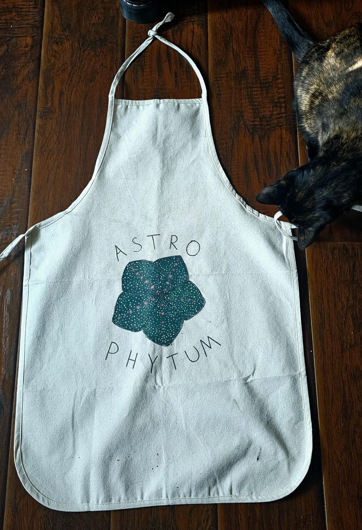 My girlfriend made me an Astrophytum myriostigma apron