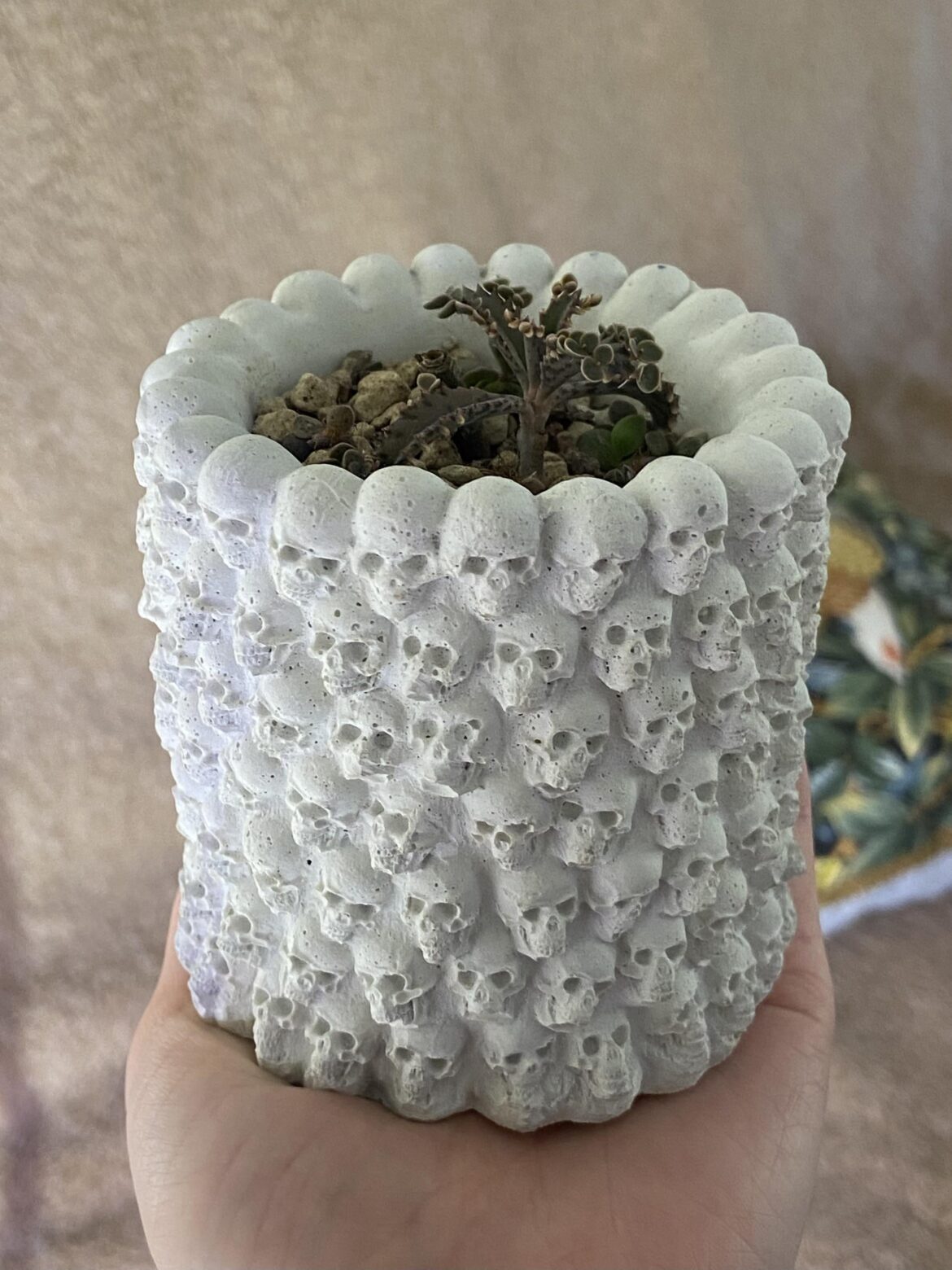 My mother of thousands' containment