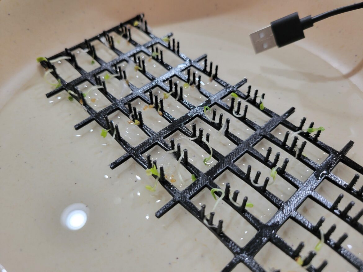 Is this a good way to grow sprouts?