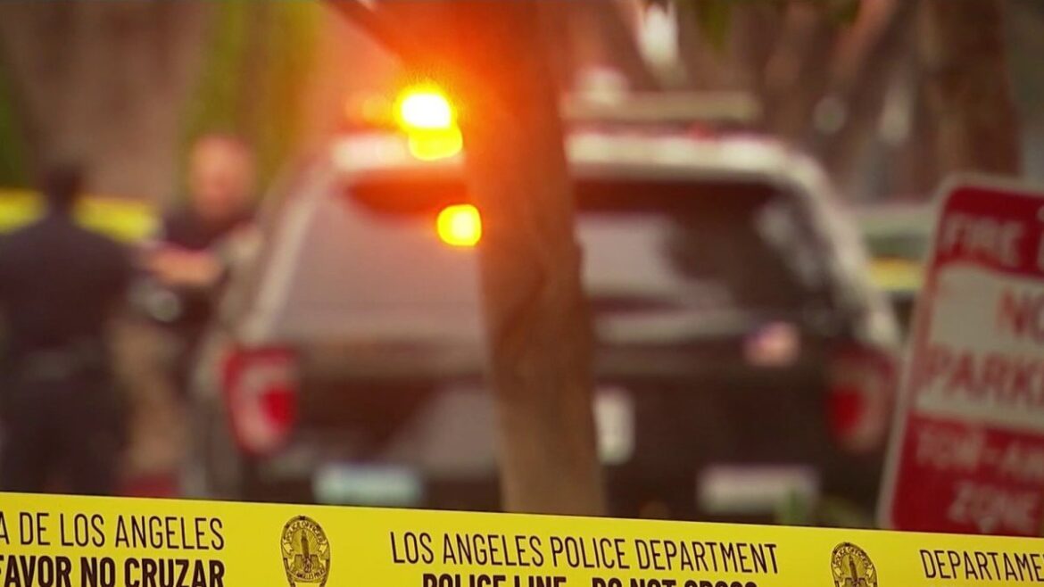 Burglar rappels into Sherman Oaks home on a garden hose – NBC Los Angeles Burglar rappels into Sherman Oaks home on a garden hose – NBC Los Angeles