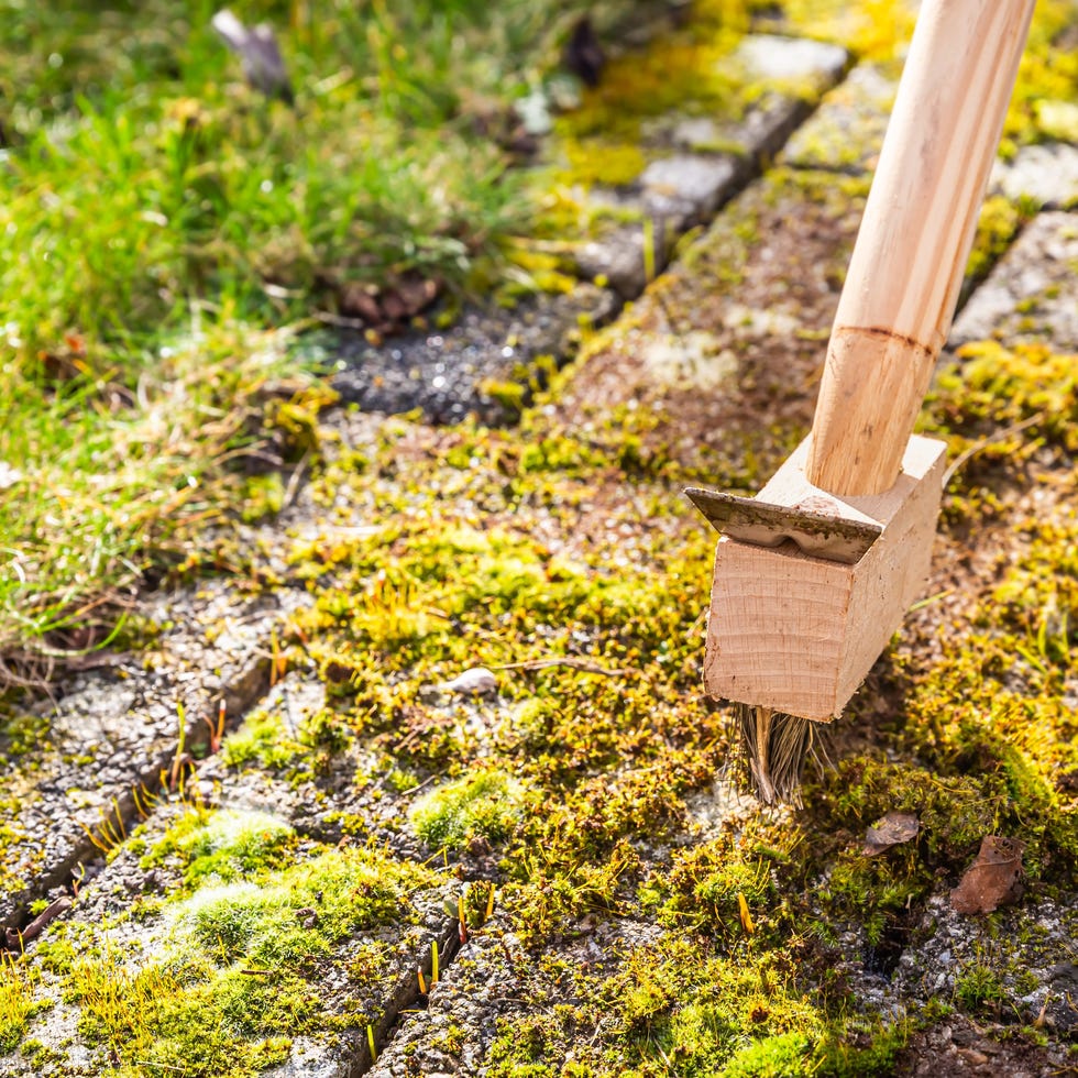 removing and scratching moss out of paving stones, cleaning terrace and patio