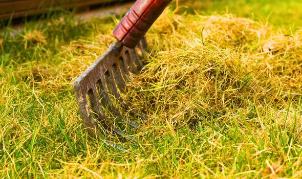 Piture of someone raking a lawn
