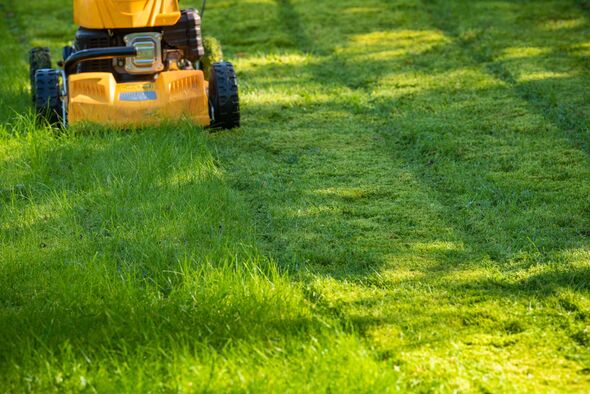 Lawn mower on grass in garden Lawn mower on grass in garden