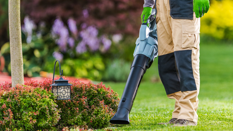Person clearing flower bed edges with a leaf blower