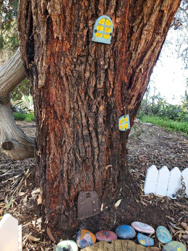 A "fairy door" attached to a tree started what became the La Jolla Bike Path's "fairy garden." (Ashley Mackin-Solomon)