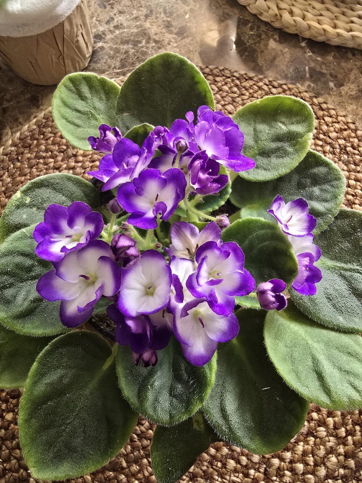 My New BEAUTY!!