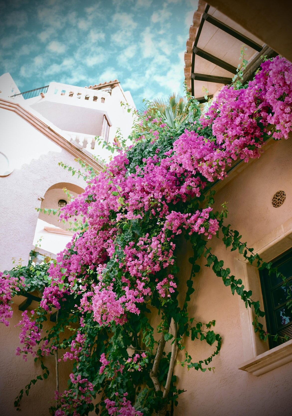 Nature Decorating My House Better Than Designer