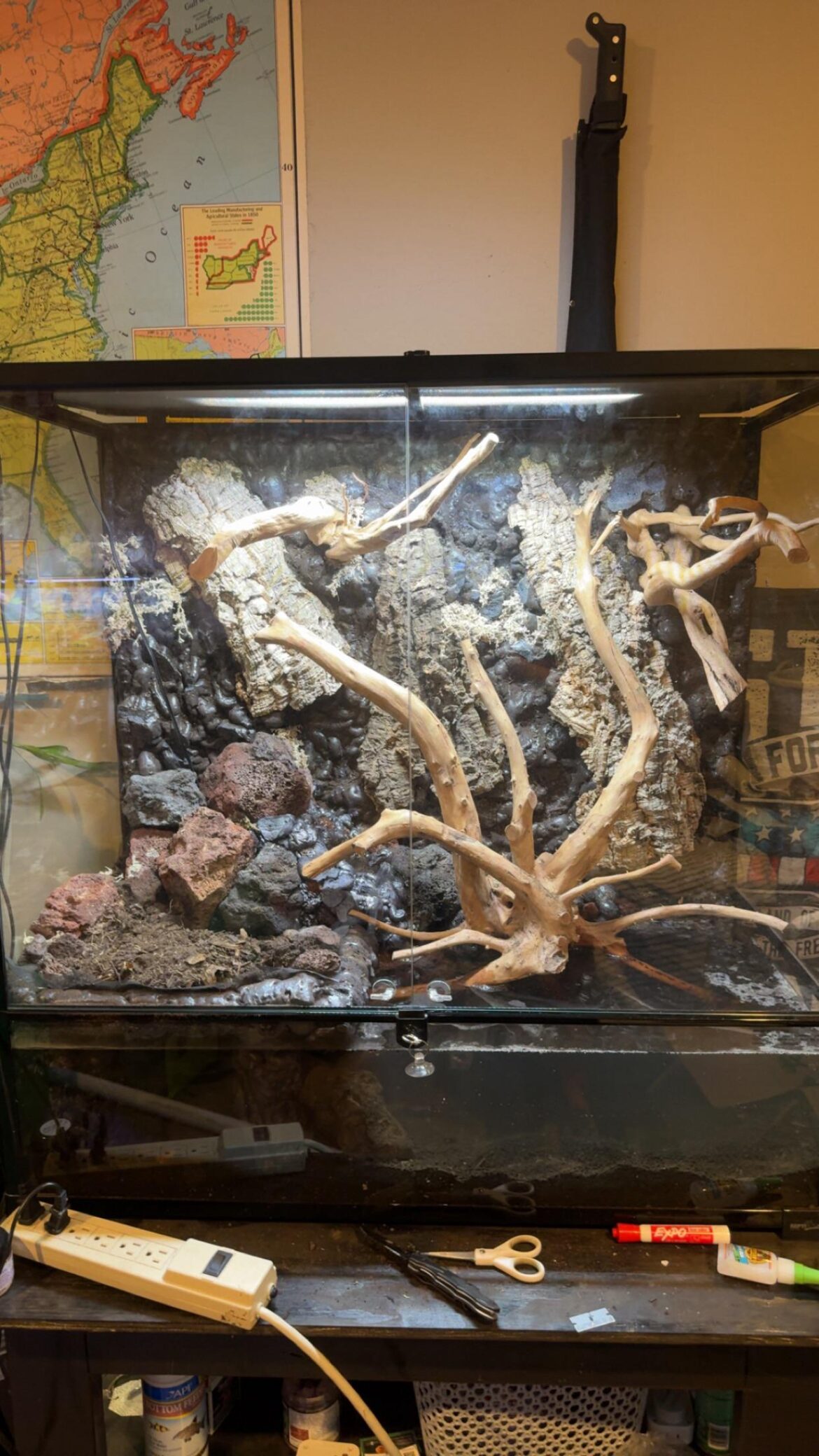 First paludarium, how did I do?