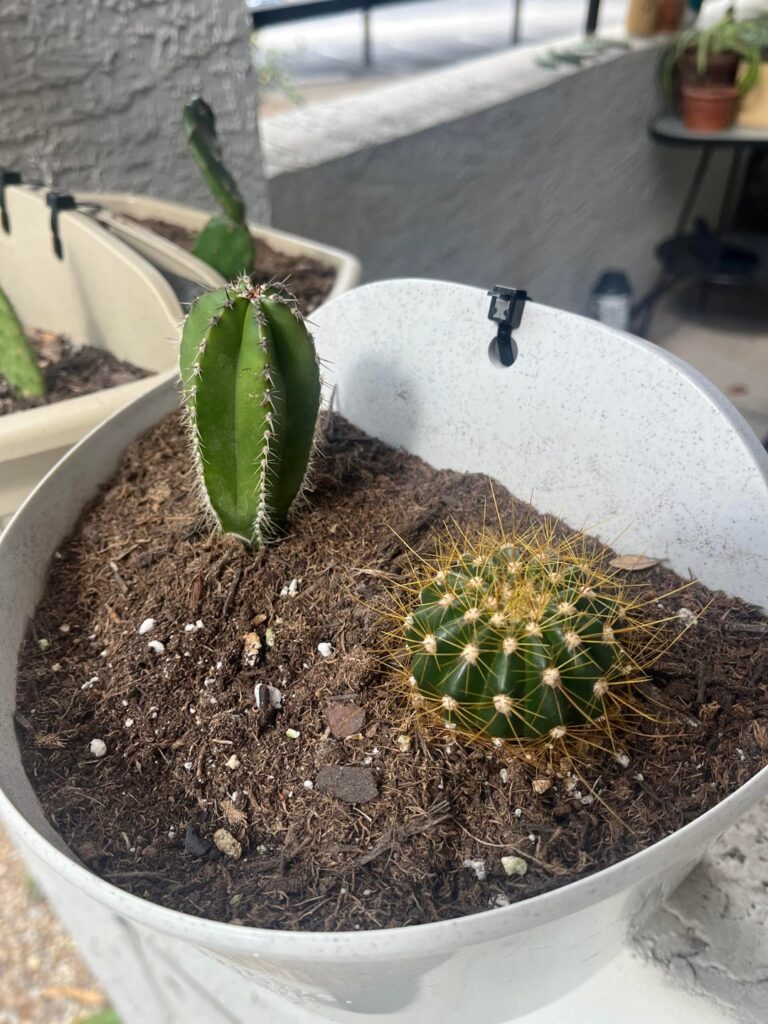 Help identifying these