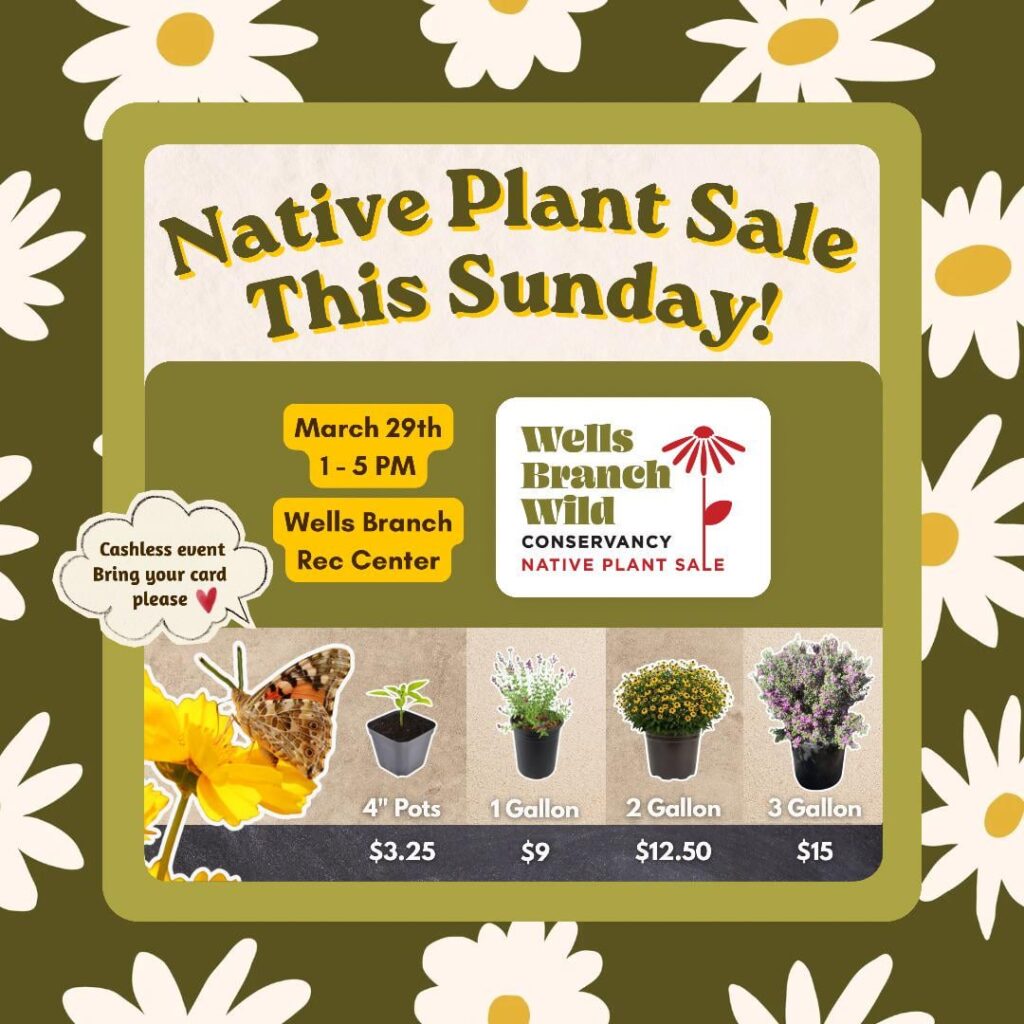 Native Plant Sale Sunday 1-5 PM