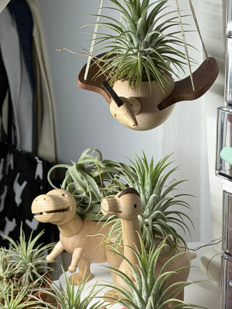 Just wanted to share these cute Dino-themed wooden planters I bought from a recent holiday trip to Taiwan - the shop sold airplants too but I couldn’t bring them back due to customs rules.