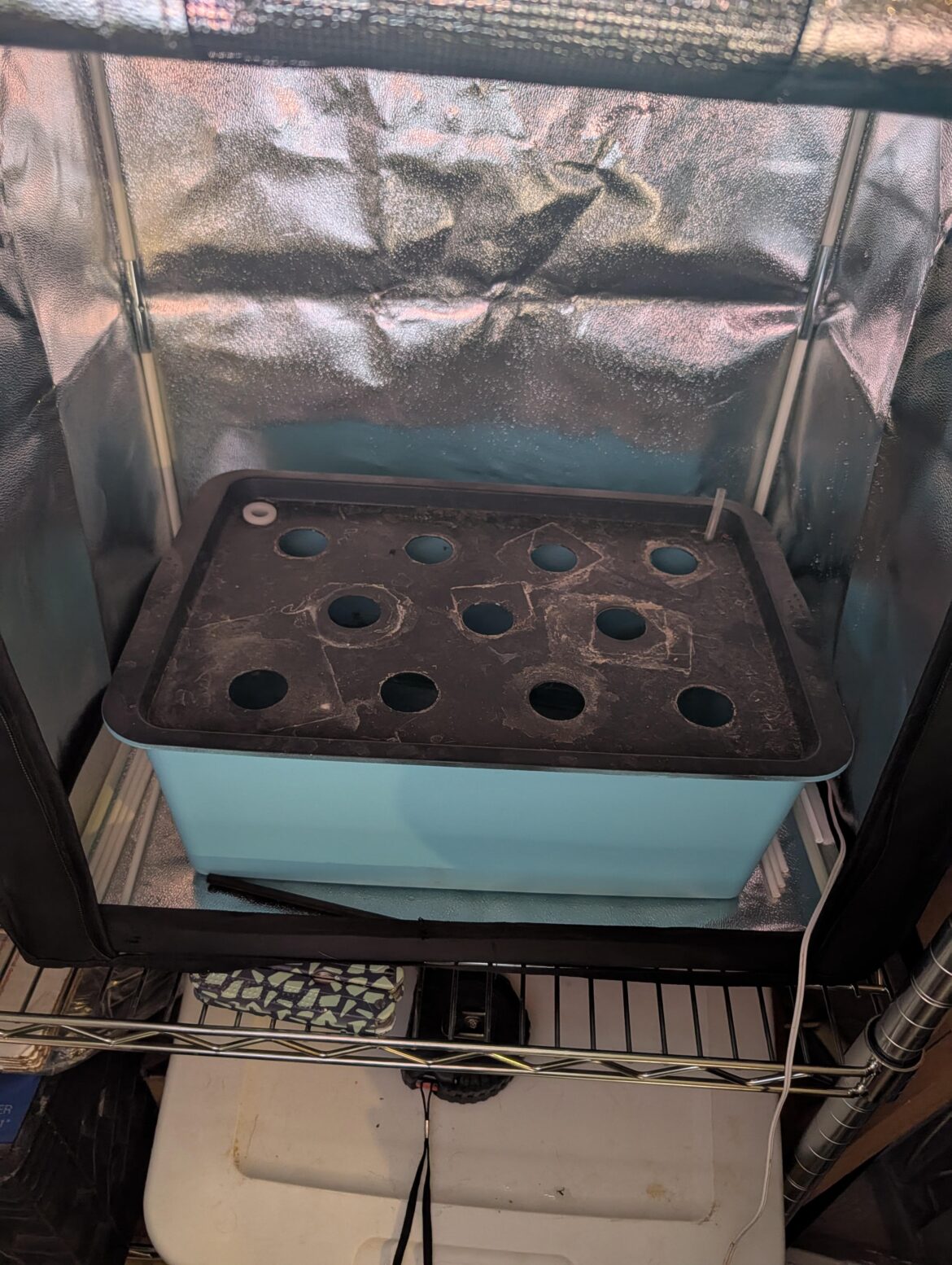 Recommended small light for a small unit? About 16"*10.5". Probably just cherry tomatoes for now