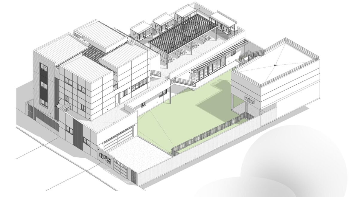 Ideas for driveway, grass/ plants that doesnt use a lot of water?