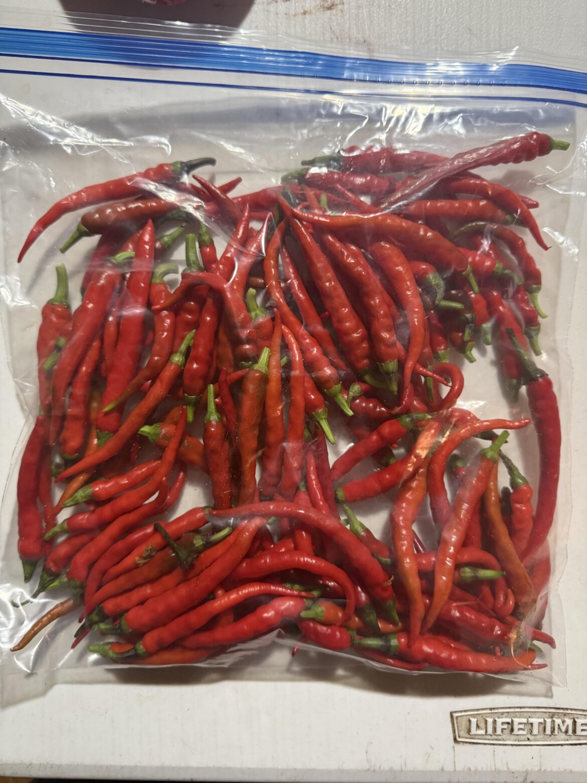 Todays bounty