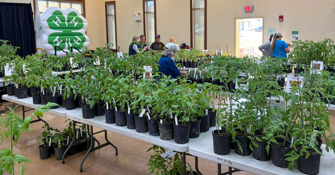 Escambia Master Gardeners Spring Sale Is Today : NorthEscambia.com