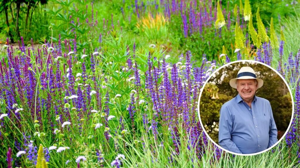 Graham Ross's Guide to a Meadow Garden