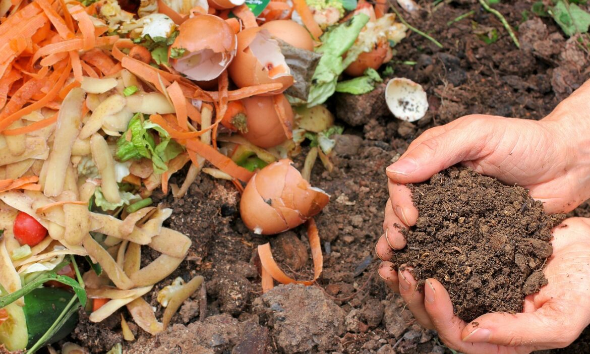 Martindale Brightwood library to host free composting class Martindale Brightwood library to host free composting class