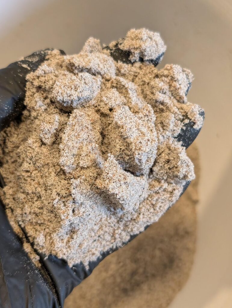 Is this substrate suitable for sowing Lithops?