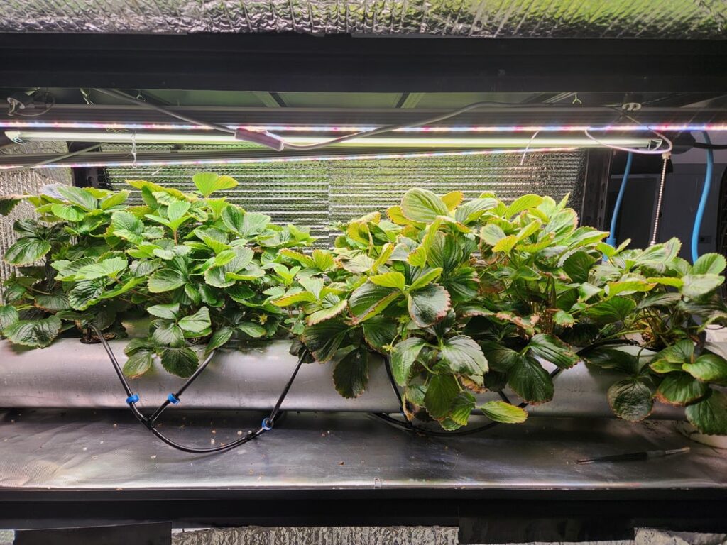 March Update (Procrastination Edition!)