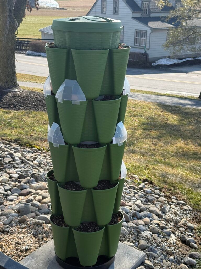 It’s the most wonderful time of the year!! It's the most wonderful time of the year!!