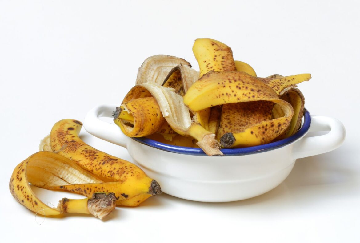 How to Use Banana Peels in the Garden the Right Way