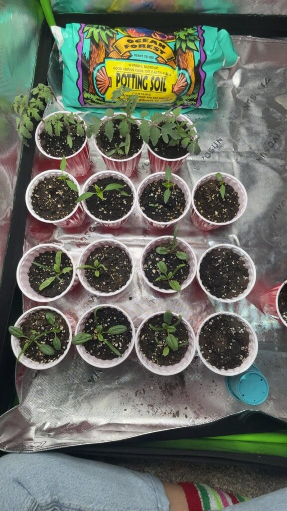 Where did I go wrong? Where did I go wrong?