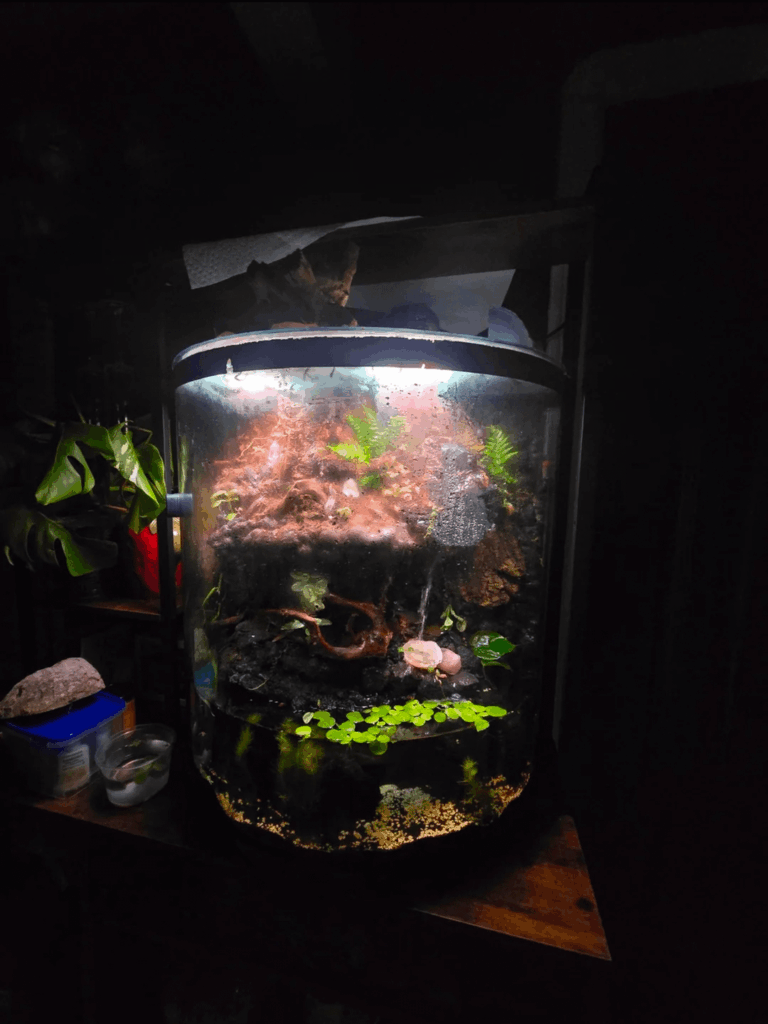 Before/After