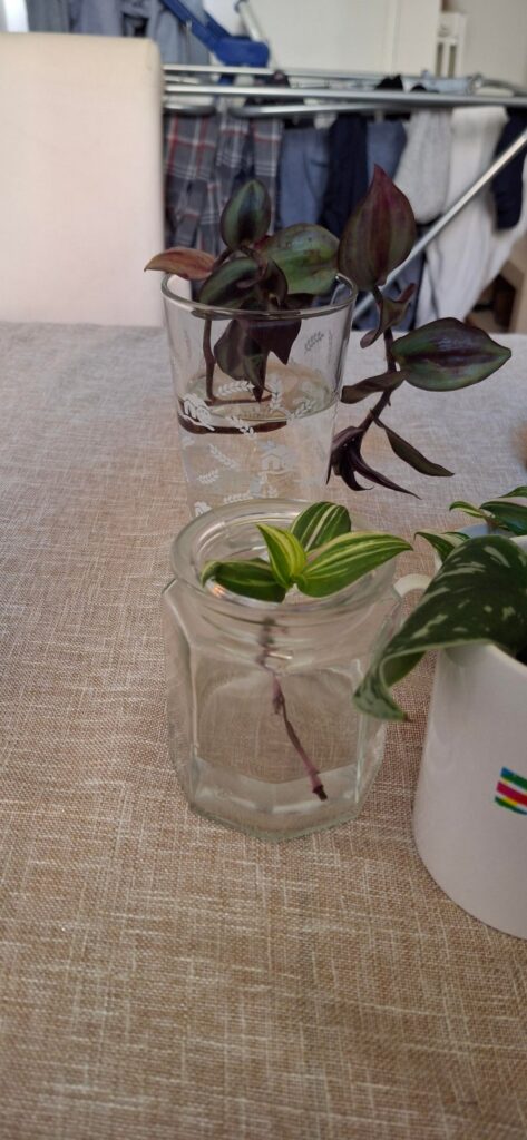 First time proplifting!
