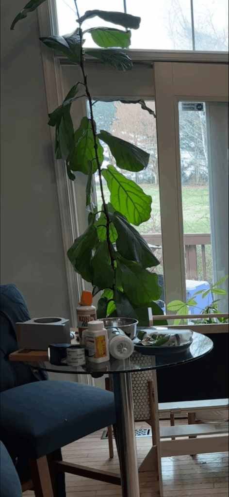 Prune and Propagate Question Prune and Propagate Question