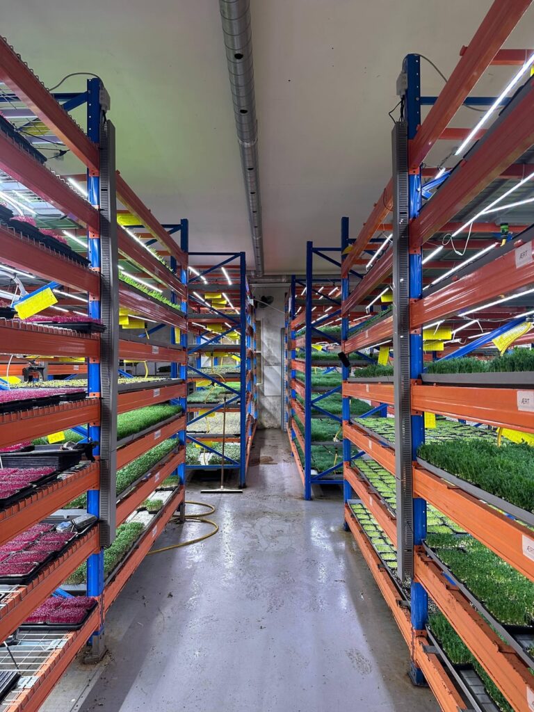 What are you growing? 🍄🥬