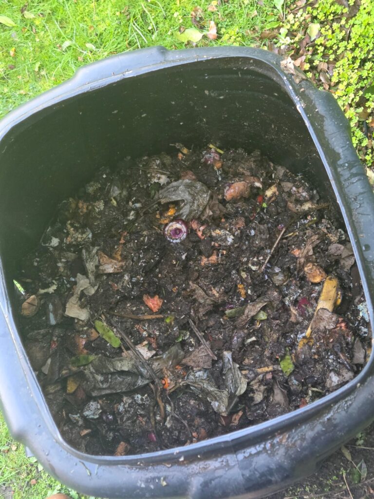 How to harvest compost?