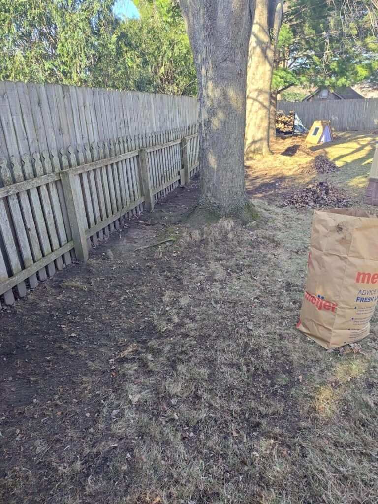 How to fill bare area How to fill bare area