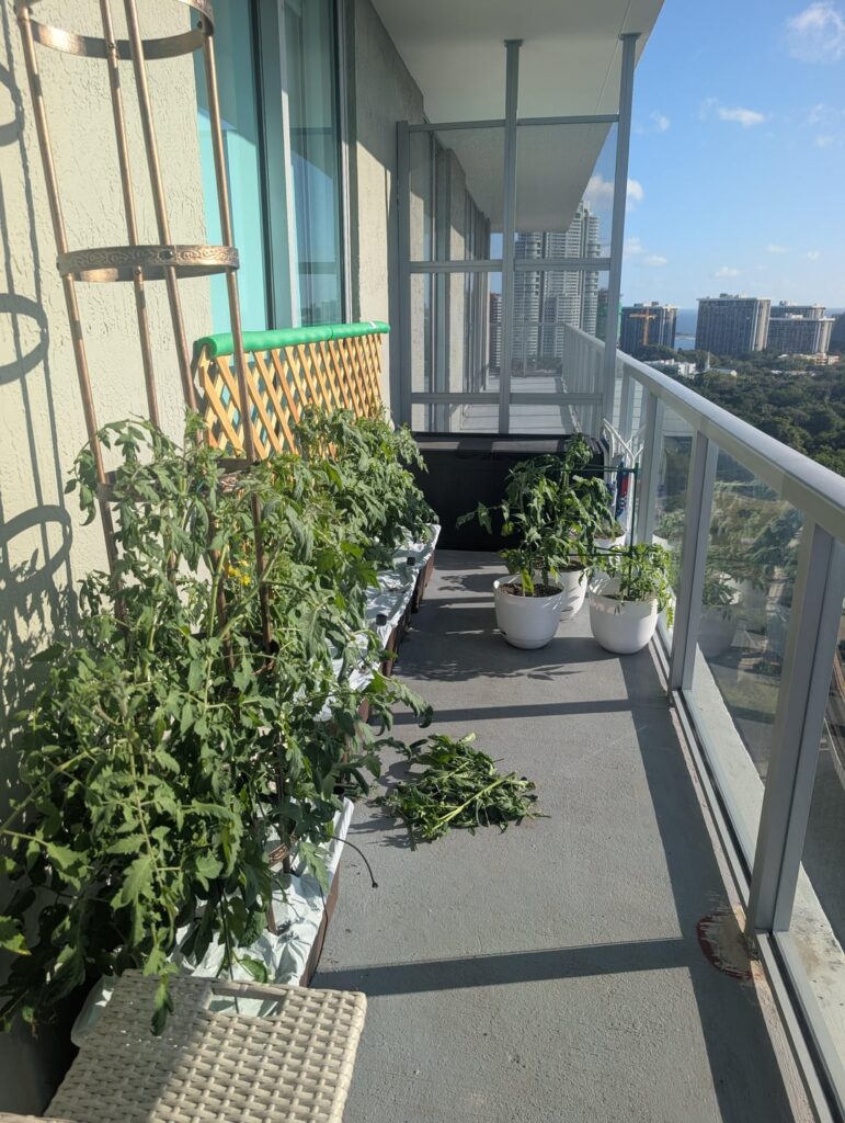 I think I'm in over my head...