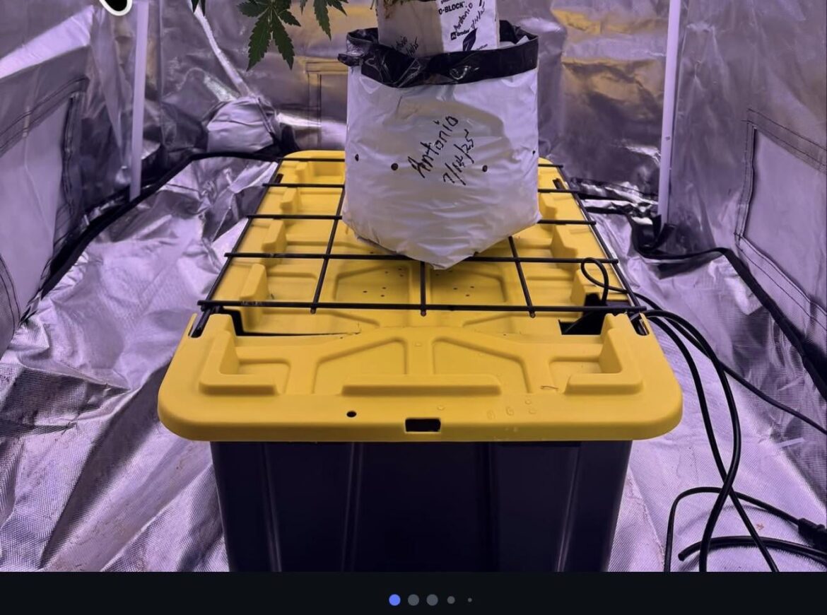 New to hydro!