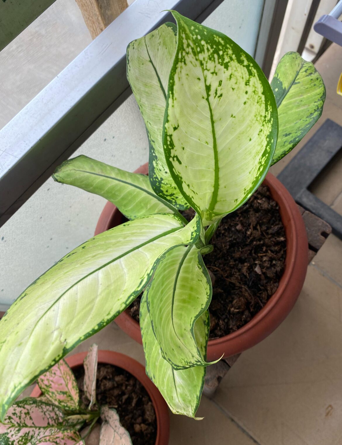 What’s her name?