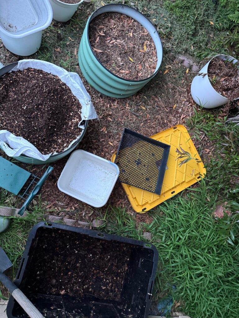 Finally “harvesting” my own compost!
