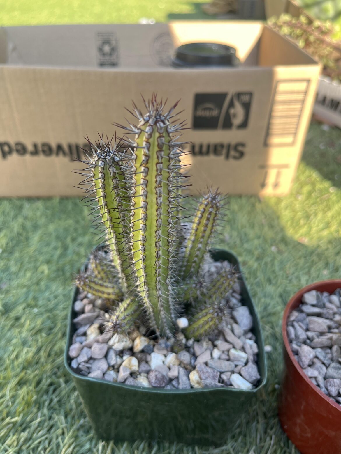 any help with id?