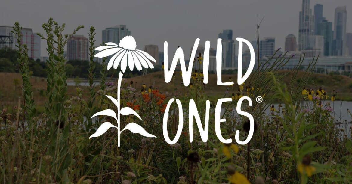 Joey Santore rips on American landscapes tonight, March 18, 7pm Eastern/ 4pm Pacific!