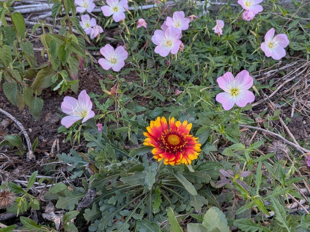 Spring has sprung